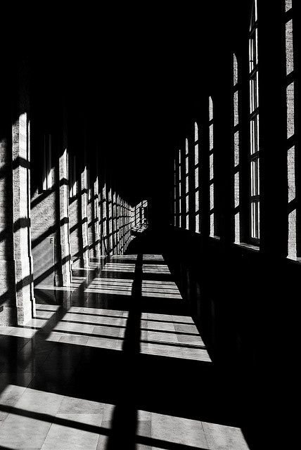 Profit, suit you sire.